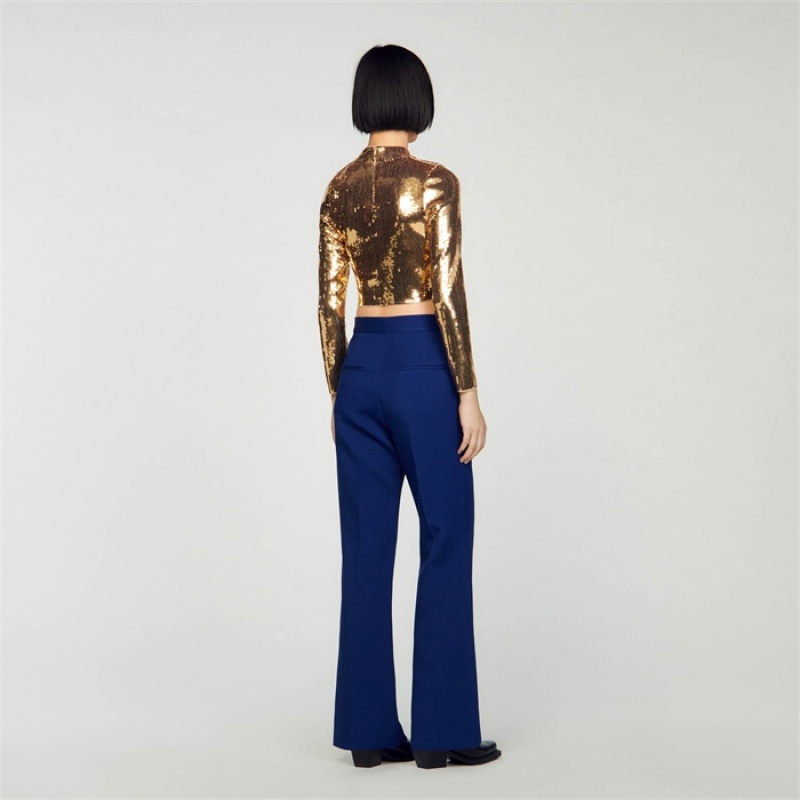 Sandro Wide leg pants Blue | SN-SDO64770